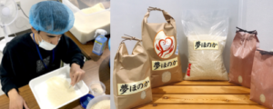 筑紫野市のお米夢ほのか